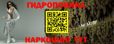 ECSTASY Заволжье