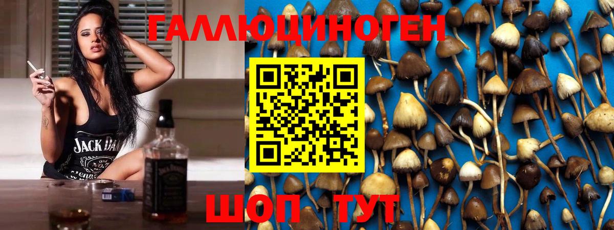 Кунгур  Галлюциногенные грибы MAGIC MUSHROOMS  Вход с VPN 