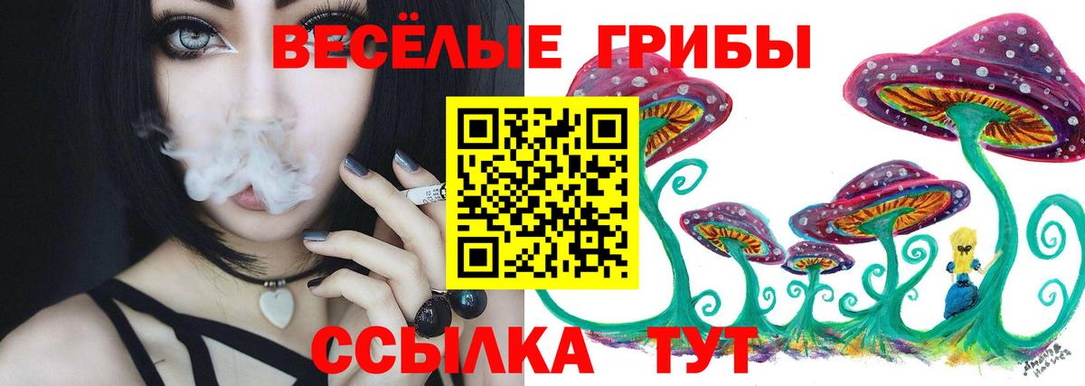 Галлюциногенные грибы мицелий Кунгур